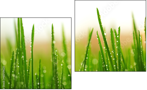 Green wet grass with dew on a blades - Two-piece canvas, Diptych