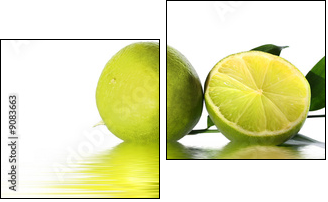 green lime - Two-piece canvas, Diptych