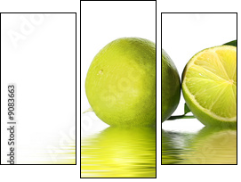 green lime - Three-piece canvas, Triptych