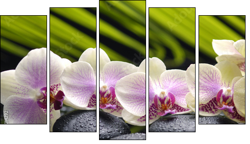 Set of branch orchid with stones- palm leaf background - Five-piece canvas, Pentaptych