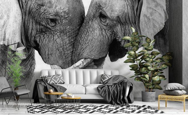 Un-amour-grand-comme-un-elephant-afrique-papiers-peints-demur
