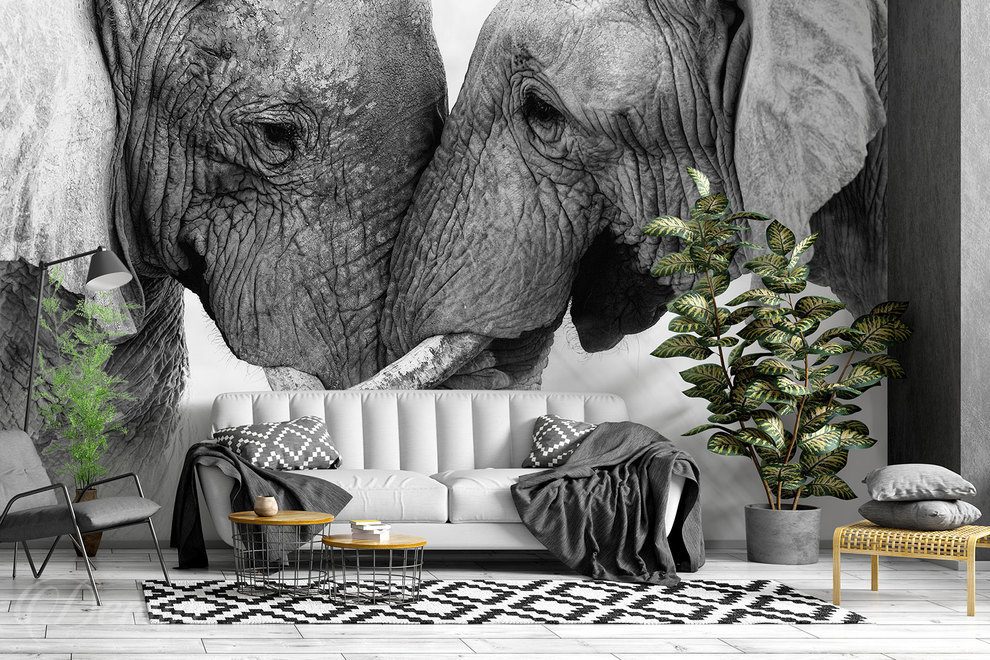 Un-amour-grand-comme-un-elephant-afrique-papiers-peints-demur