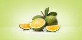 Agrumes frais en nuances vertes