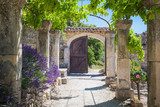Allée provençale sous la vigne