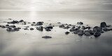 Brume marine et rochers paisibles