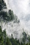 Brume mystérieuse en montagne