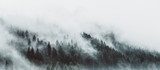 Brume mystique sur forêt scandinave