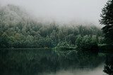 Brume mystique sur lac paisible