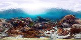 Clarté marine au cœur du récif