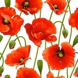 Éclat floral rouge vif