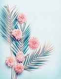 Éclat pastel et feuillage exotique