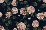 Éclat vintage de roses sur fond sombre
