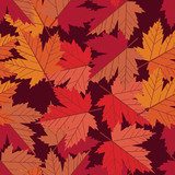 Motif feuilles d'érable aux tons chauds