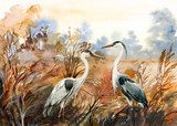 Rencontre élégante dans la nature sauvage