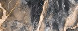Veines dorées sur fond marbré noir