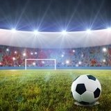 Victoire sous les projecteurs
