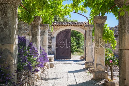 Allée provençale sous la vigne