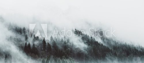 Brume mystique sur forêt scandinave