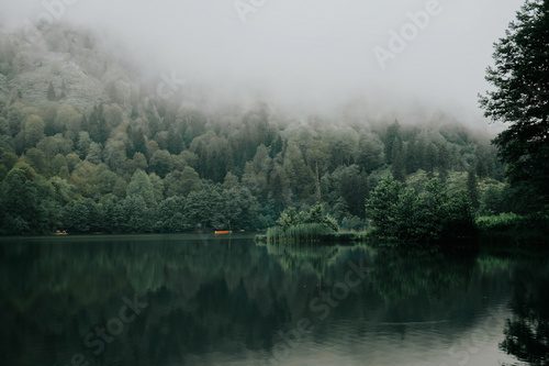 Brume mystique sur lac paisible