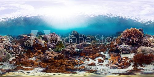 Clarté marine au cœur du récif