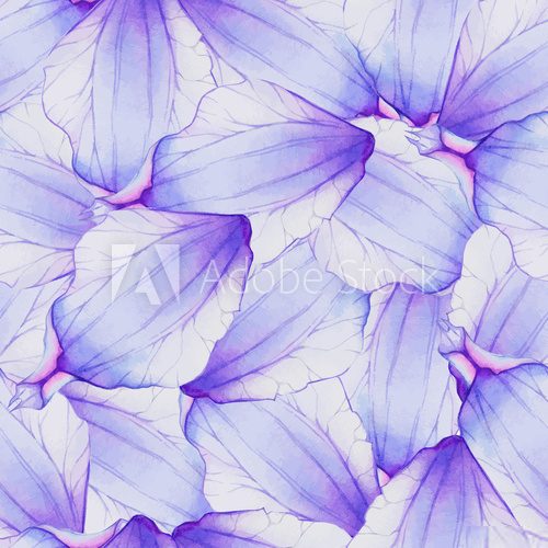 Explosion violette florale translucide