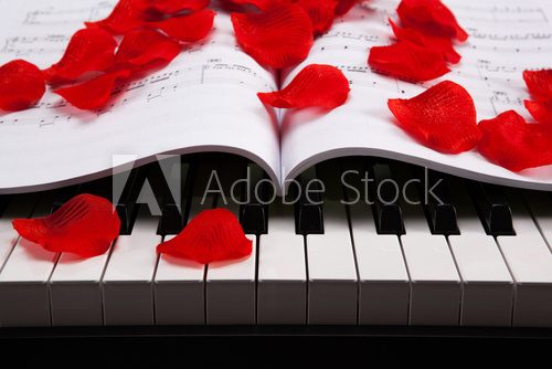 Harmonie romantique en touches et pétales