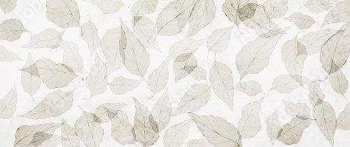 Légèreté naturelle en transparence