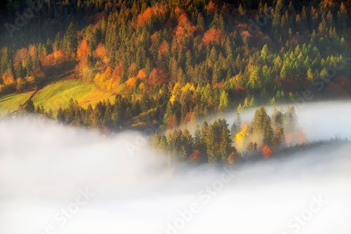 Mélodie automnale sur les hauteurs