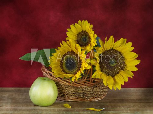 Rayons de tournesols sur fond carmin
