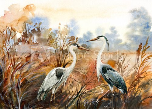 Rencontre élégante dans la nature sauvage
