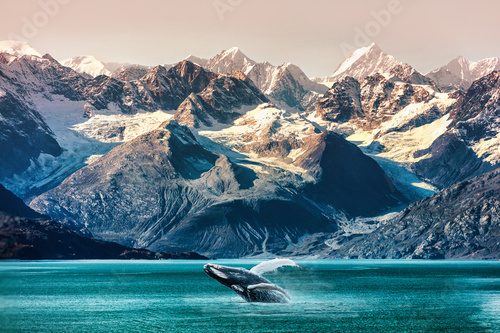 Symphonie polaire entre montagne et mer