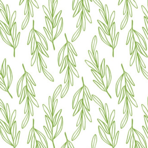 Branches végétales linéaires sur fond blanc
