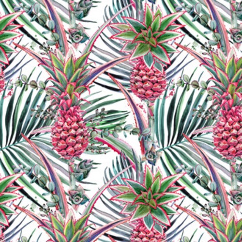 Explosion tropicale vivifiante