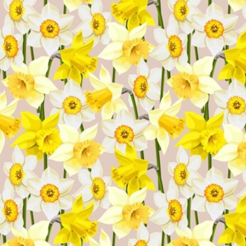 jonquilles blanches et jaunes - Papiers peints à motifs Saisons • Demur®