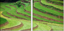 15713254