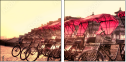 16482006