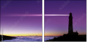 16699558