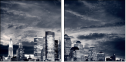 19592071