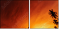 20708520