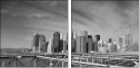 22043006