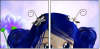22659722