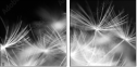 23180311