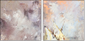 24599717