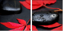 26741750