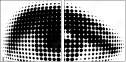 29211462