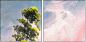 32752739