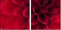 33891278