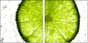 36604434