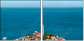 37043331