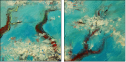39414869